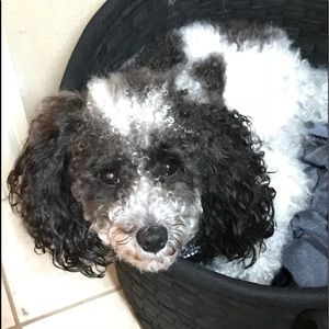 Meet your Posher, Moreen